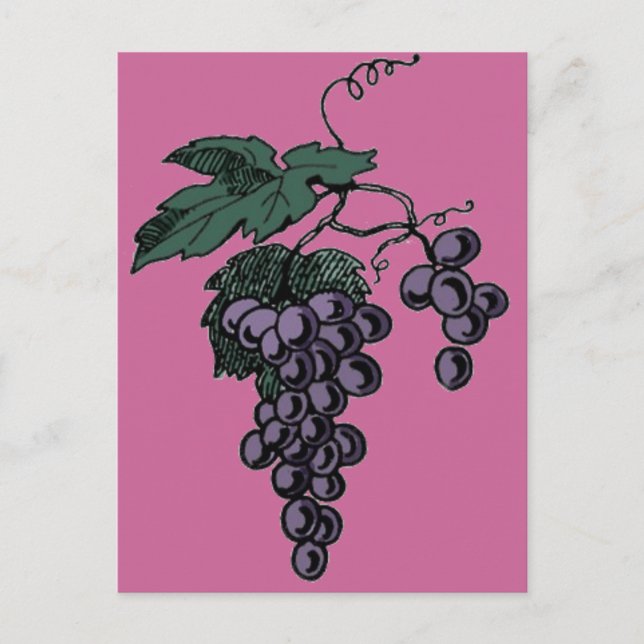 Weinreben Postkarte (Vorderseite)