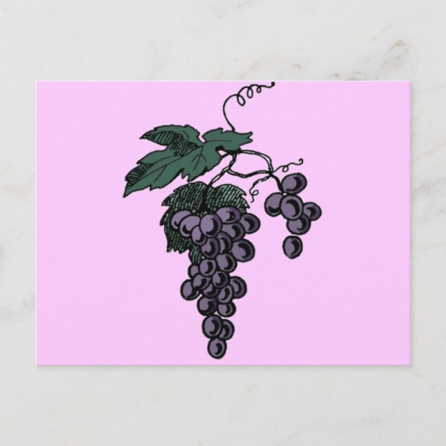Weinreben Postkarte (Vorderseite)