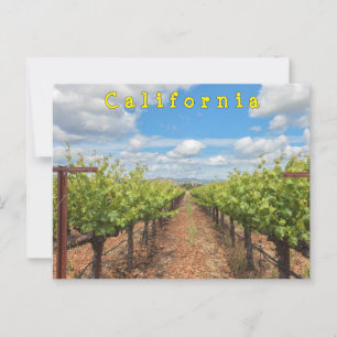 Weinreben Postkarte