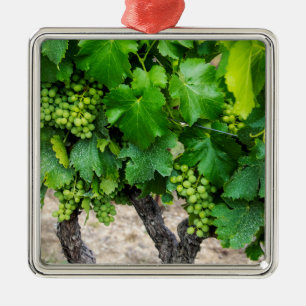 Weinrebenanbau, Frankreich Ornament Aus Metall