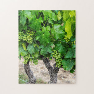 Weinrebenanbau, Frankreich Puzzle