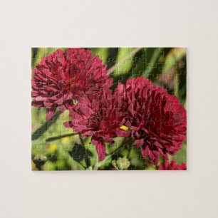 Weinrote Chrysanthemen Puzzle