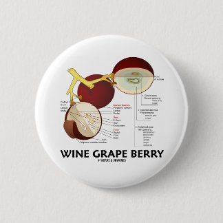 Weintraube-Beere (Anatomie) Button