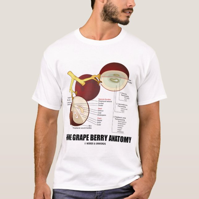 Weintraube-Beeren-Anatomie (Frucht) T-Shirt (Vorderseite)