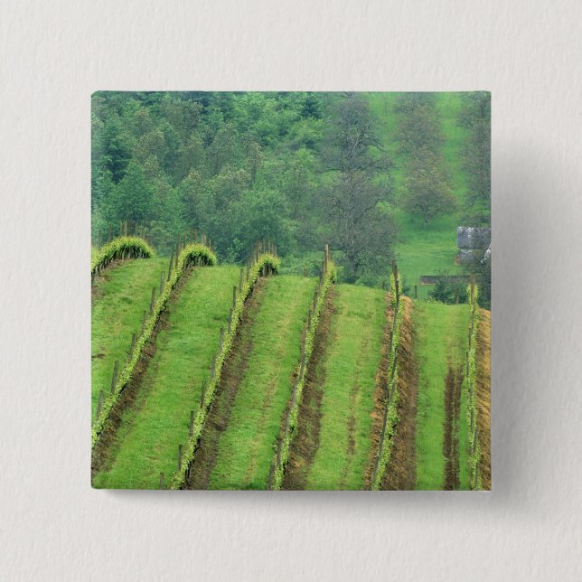 Weintrauben bei Newberg Oregon Button (Vorderseite)