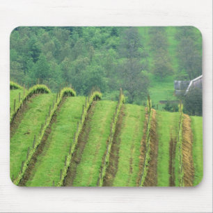Weintrauben bei Newberg Oregon Mousepad