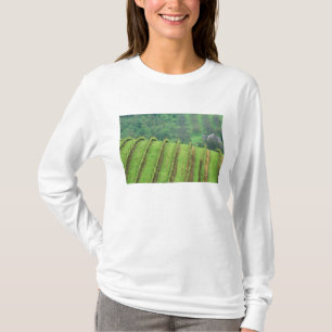 Weintrauben bei Newberg Oregon T-Shirt