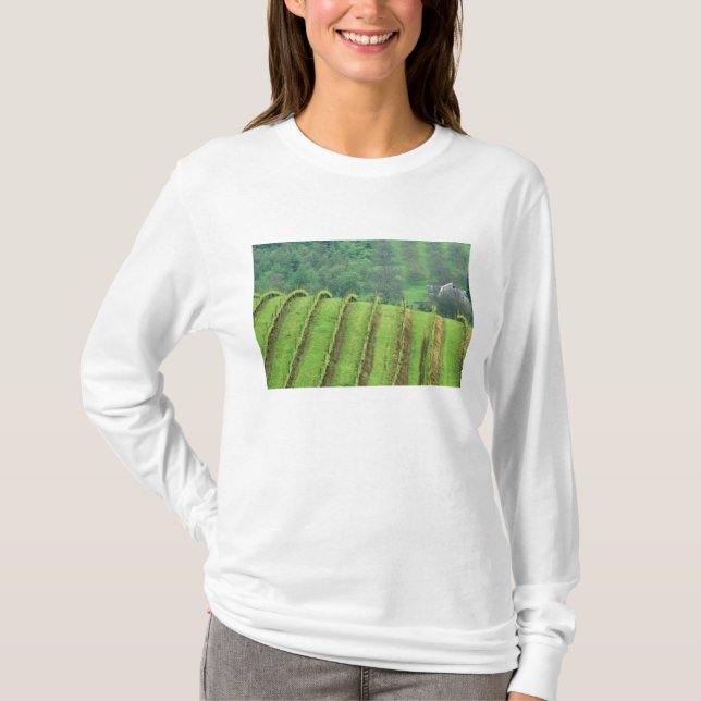Weintrauben bei Newberg Oregon T-Shirt (Vorderseite)