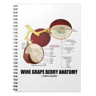 Weintrauben Berry Anatomie Wissenschaftliches Diag Notizblock