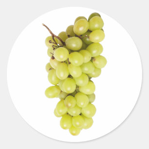 Weintrauben grapes runder aufkleber
