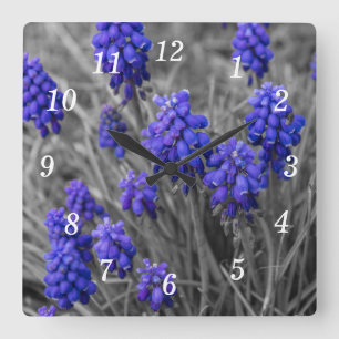 Weintrauben - Hyazinthen - Familie Wählen Sie eine Quadratische Wanduhr