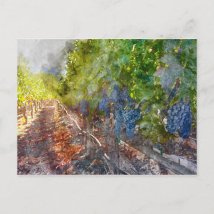 Weintrauben in der Herbstsaison Postkarte