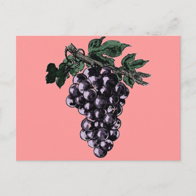 Weintrauben Postkarte (Vorderseite)