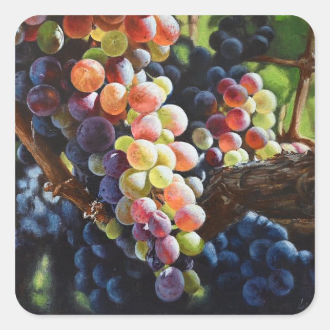 Weintrauben Quadratischer Aufkleber (Vorderseite)