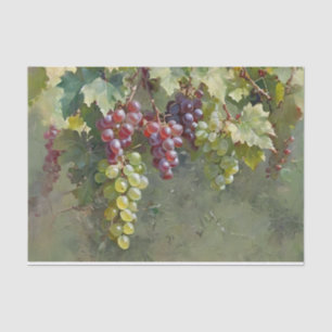 Weintrauben Seidenpapier