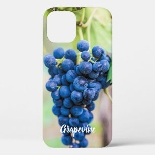Weintrauben und Weinbaugeschenk Case-Mate iPhone Hülle