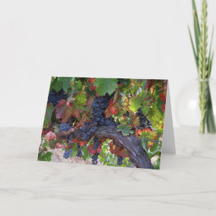 Weinwanderwege Mendrisiotto Weinroute Mendrisiotto Karte