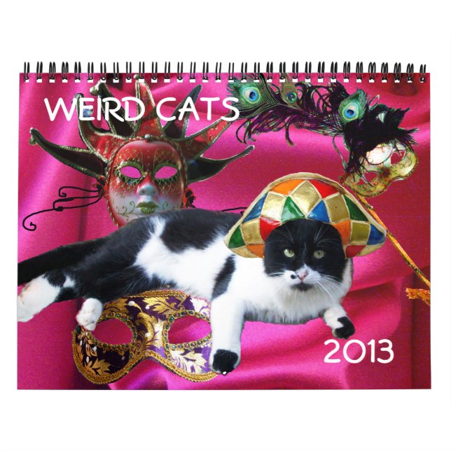 WEIRD CATS 2013 KALENDER (Titelbild)