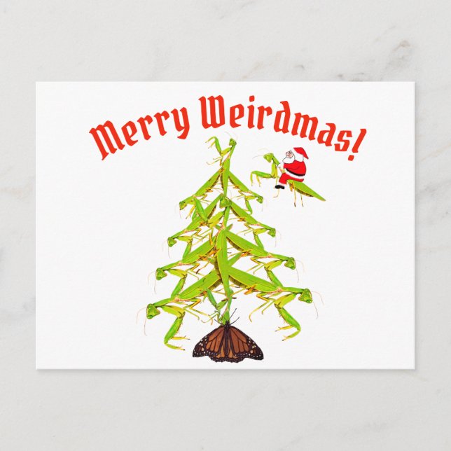 Weirdmas beten Mantis Tree Weihnachten Postkarte (Vorderseite)
