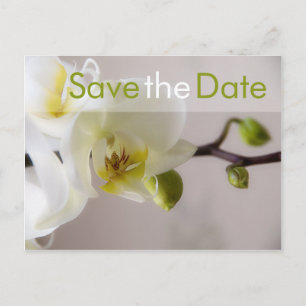 Weise Orchidee ・ Save the Date Postkarte