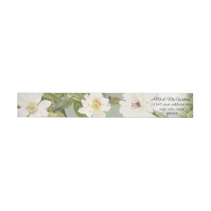 Weise weiße Vintage botanische Blumenpfingstrose