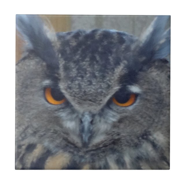 Weisen Fliese (Vorderseite)