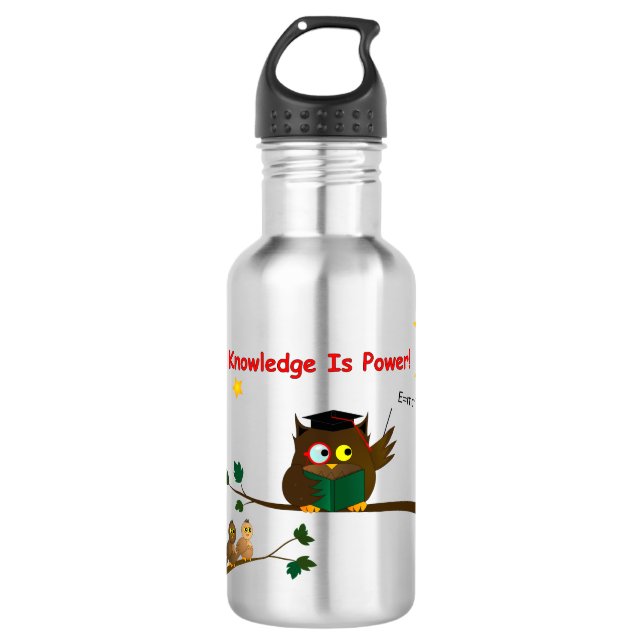 Weisen Owl lehren Edelstahlflasche (Vorderseite)