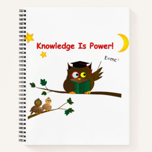 Weisen Owl lehren Notizbuch
