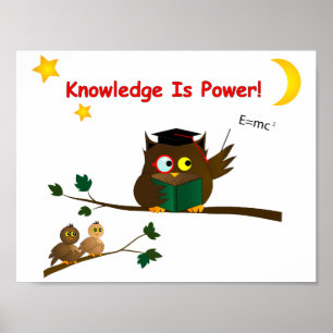Weisen Owl lehren Poster
