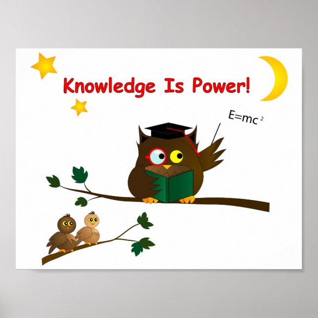 Weisen Owl lehren Poster (Vorne)