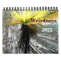 Weisheit 2022-Kalender