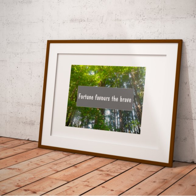 Weisheit-Glück begünstigt das tapfere Sprichwort-P Poster (Von Creator hochgeladen)