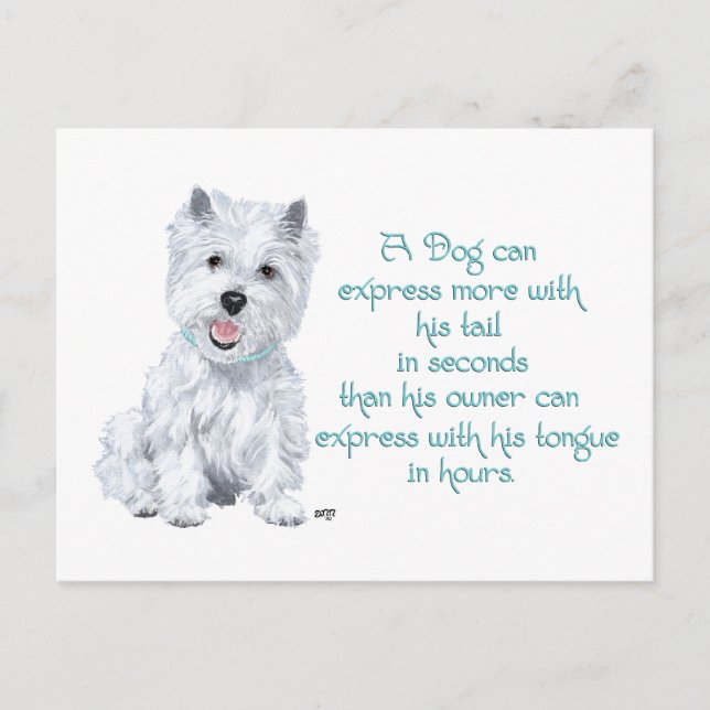 Weisheit - Wagender Schwanz oder Zunge? Postkarte (Vorderseite)