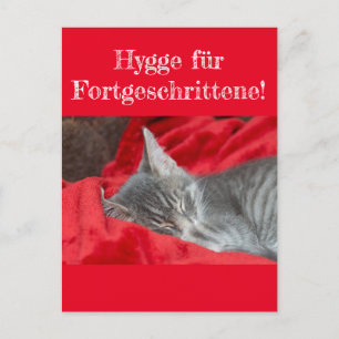 Weisheiten&Humor Hygge ..! Katze schläft auf rot Postkarte