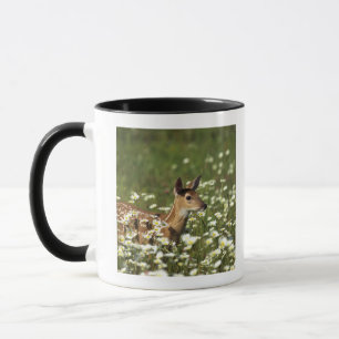 Weiß-angebundene Rotwild auf dem Gebiet der Tasse