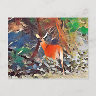 Weiß angebundene Rotwild Postkarte