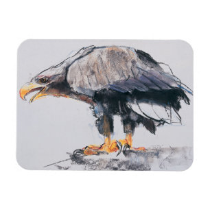 Weiß angebundenes Meer Eagle 2001 Magnet