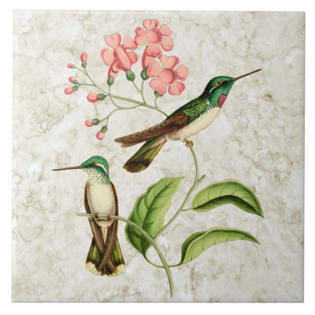 Weiß aufgeblähte Kolibri-Vintage Natur-Kunst Fliese (Vorderseite)