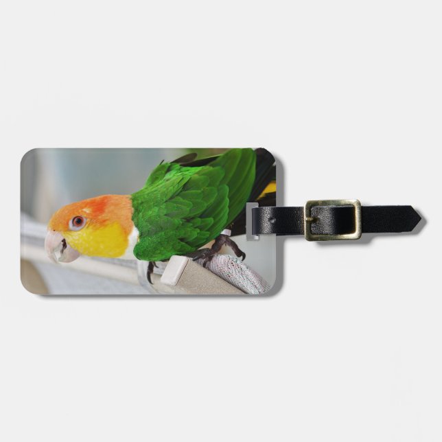 Weiß aufgeblähter Caique-Papagei Gepäckanhänger (Vorderseite horizontal)