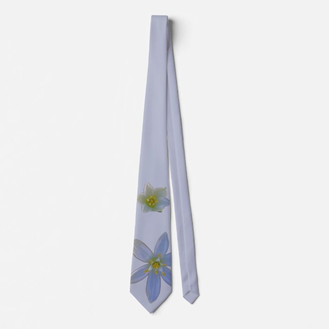 weiß blühen krawatte (Vorderseite)