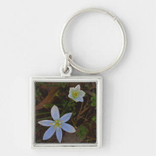 weiß blühen schlüsselanhänger