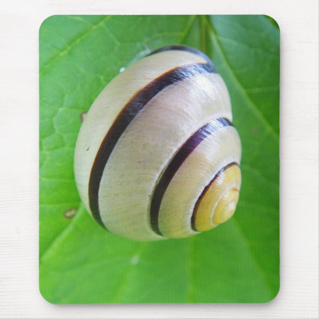 Weiß-braune Schnecke Mousepad (Vorne)