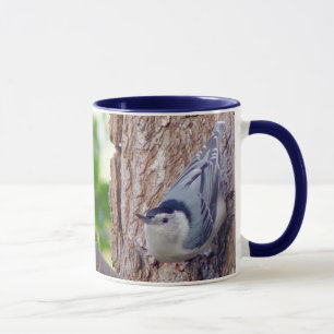 Weiß breasted Kleiber-Vogel-Tasse Tasse