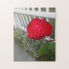 Weiß gepflückter Zaun und eine wunderschöne rote R Puzzle