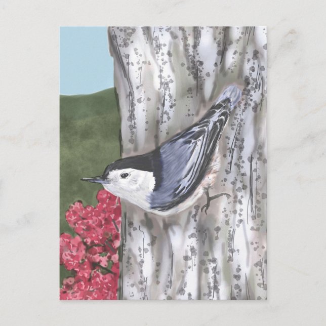 Weiß geröstete Nuthatch- und rosa Blume Postkarte (Vorderseite)