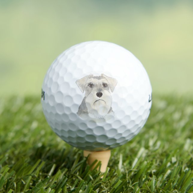 Weiß & Grau Schnauzer Golfball (Insitu T-Shirt)