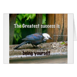 weiß-köpfiger Starling