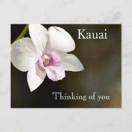 Weiß rosa Orchid Blume Kauai, Hawaii Postkarte
