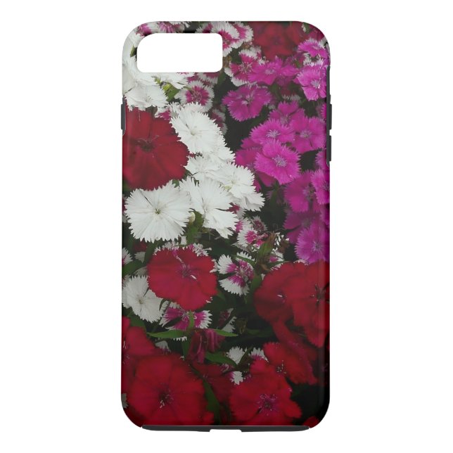 Weiß, Rosa und Rote Dianthus Case-Mate iPhone Hülle (Rückseite)
