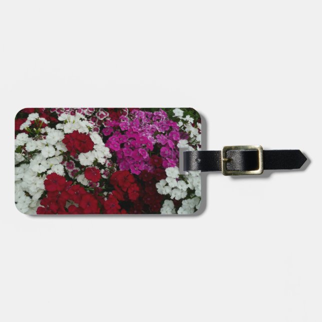 Weiß, Rosa und Rote Dianthus Gepäckanhänger (Vorderseite horizontal)